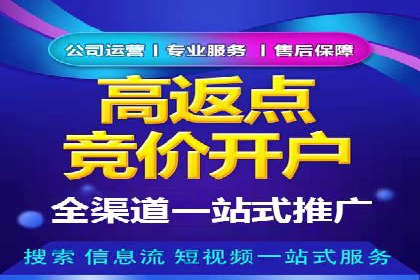 谷歌SEM广告策略：某电商平台的成功逆袭案例